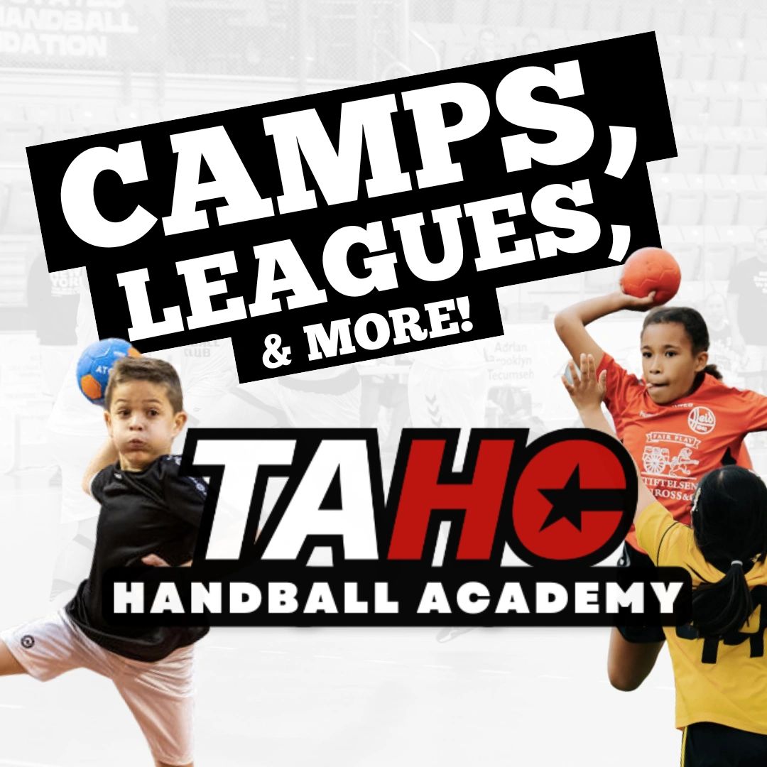 About The American Handball Company